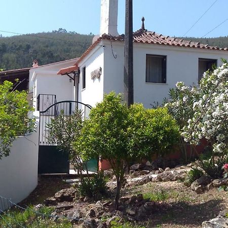 Villa Casa Da Milharica Figueiro Dos Vinhos Exterior foto